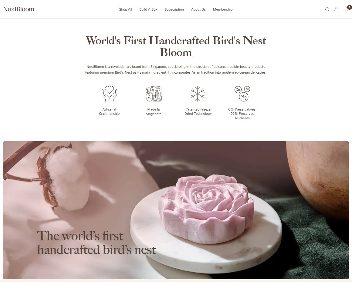 Top Shopify and WooCommerce Developer for eCommerce Store Website