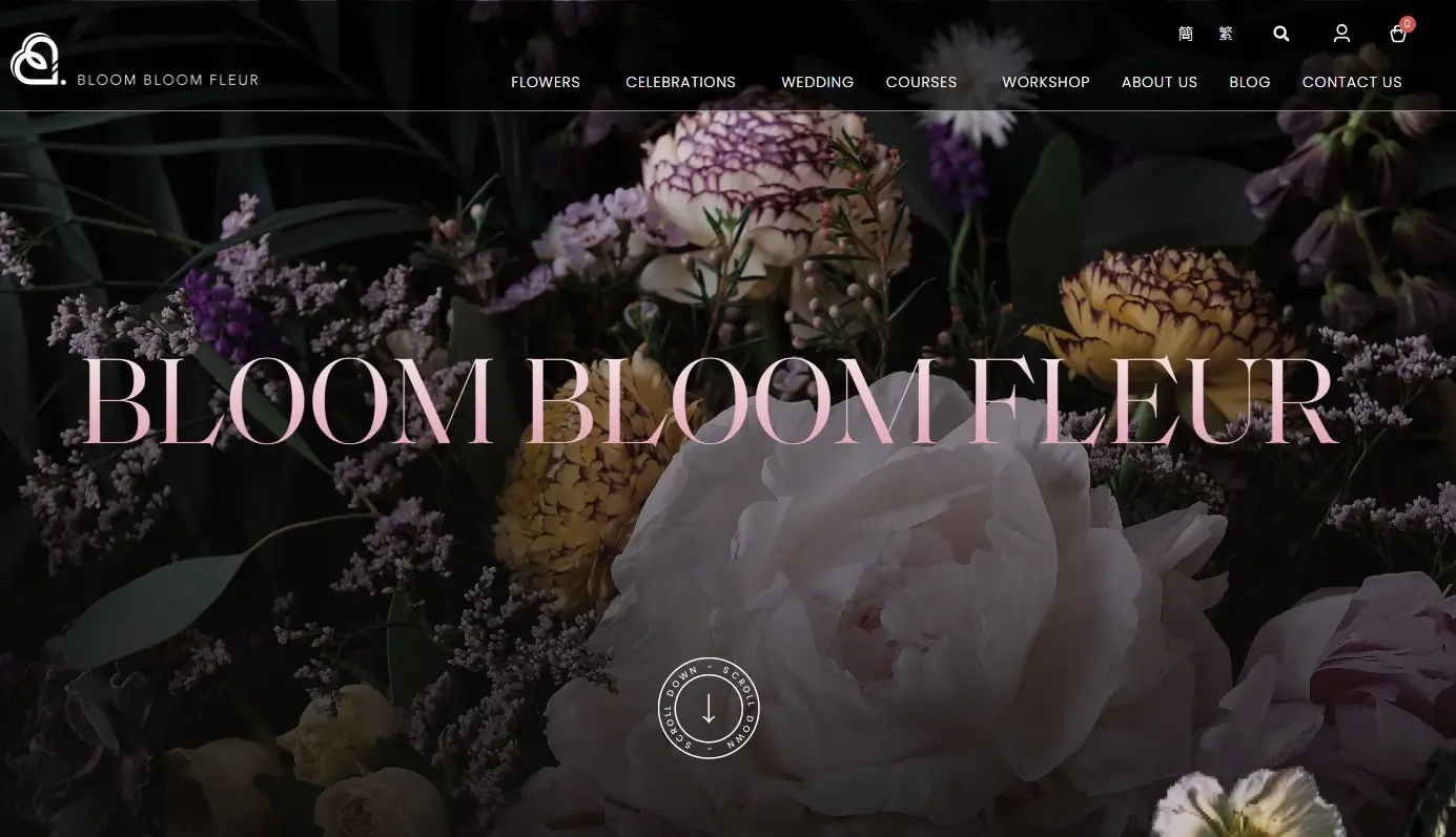 Web Design Company in New Zealand