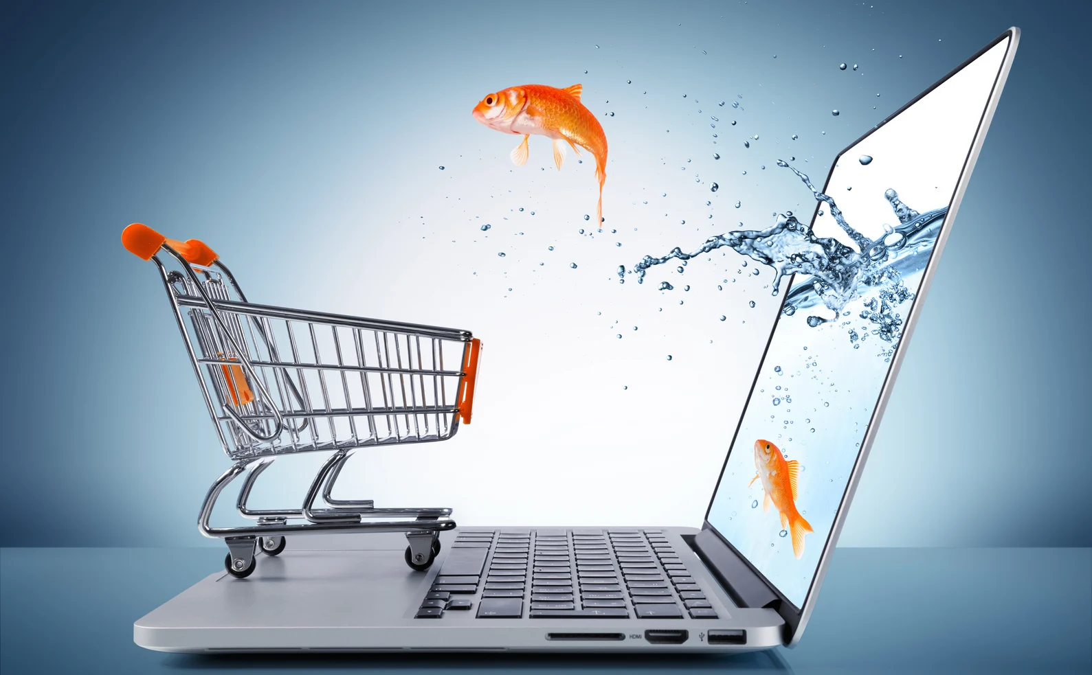 ecommerce store laptop img