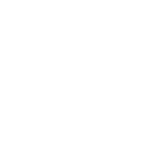 local seo icon