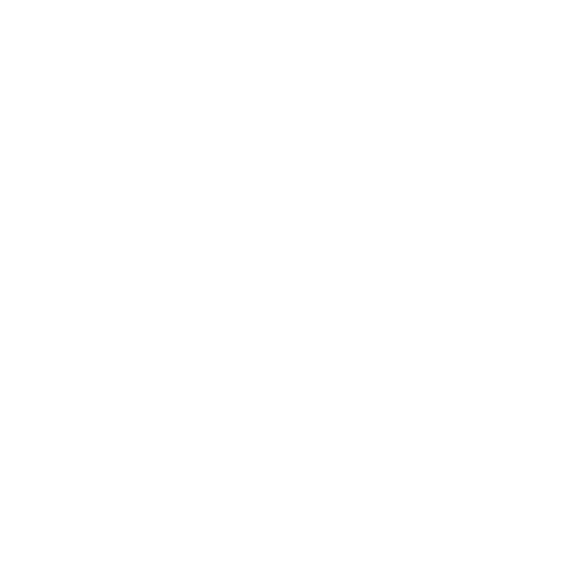 secure icon