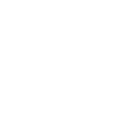 flash logo